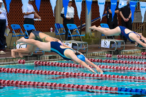 自由式冠軍跳水畫面